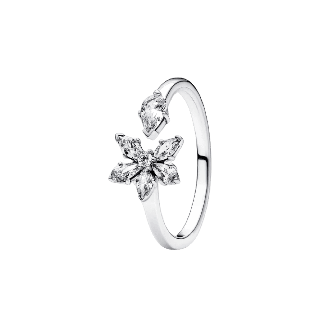 Anillo Herbario