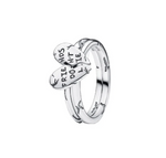 Anillo Divisible Friends Don't Lie
