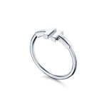 Anillo T Doble Plateado