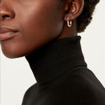 Pendientes Locks Rosados y Zirconias