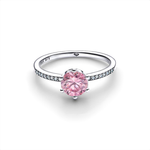 Anillo Corona Reluciente